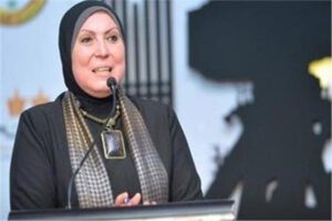 وزيرة الصناعة: 78 مشروعًا توصلت لها مبادرة الشراكة الصناعية مع الإمارات والأردن