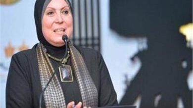 وزيرة الصناعة: 78 مشروعًا توصلت لها مبادرة الشراكة الصناعية مع الإمارات والأردن
