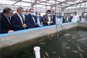 رئيس الوزراء يزور كلية علوم الثروة السمكية والمصايد بجامعة كفر الشيخ