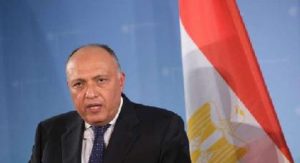 الدبلوماسية المصرية 2021.. تحرك خارجي يعكس رؤية القيادة وحجم الإنجازات