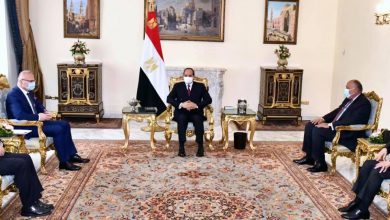السيسى يؤكد تطلع مصر لتعزيز آليات التعاون الثنائي مع كرواتيا