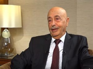 عقيلة صالح: سحب الثقة من الحكومة "قانوني" والحل في الانتخابات ..الرئاسي الليبي يسعى للتوافق حول قانون للانتخابات