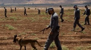 إسرائيل تشكل لجنة تحقيق رسمية في فرار ستة معتقلين فلسطينيين