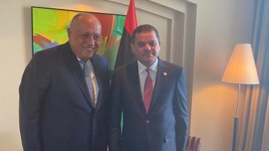 شكرى يعقد مباحثات مع رئيس حكومة الوحدة الوطنية الليبية بطرابلس