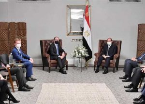 السيسي لمستشار النمسا: مصر تولي أولوية قصوى تجاه حقوقها التاريخية في مياه النيل