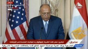 شكري: الشراكة بين مصر وأمريكا مهمة جدًا للحفاظ على السلام في المنطقة