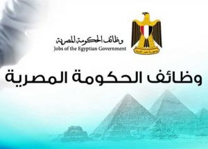  وظائف خالية بـ«وزارات وهيئات حكومية» في القاهرة والمحافظات