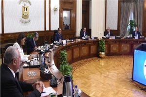 رئيس الوزراء يؤكد على أهمية مشروع «مستقبل مصر» لزيادة الرقعة الزراعية