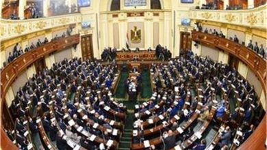 الثلاثاء القادم .. مجلس النواب يواجه وزير الري بأكثر من ١٠٠ أداة رقابية ‎‎