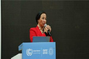 وزيرة البيئة: أفريقيا تحتاج إلى ١.٦ تريليون لمواجهة آثار تغير المناخ حتى ٢٠٣٠