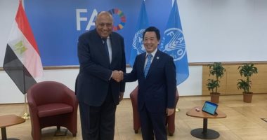 وزير الخارجية يلتقى مدير عام منظمة الأغذية والزراعة للأمم المتحدة فى روما