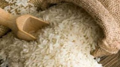 ارتفاع أسعار الأرز رغم انتهاء موسم الحصاد وتوريد معظم الفلاحين الأرزللمضارب   