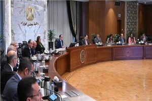 اتفاقيات شراكة لـ4 شركات مع المجلس الأعلى للسيارات لبدء التصنيع في مصر