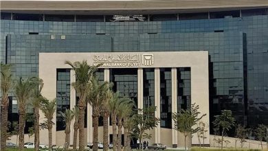 245 مليار جنيه مبيعات الشهادة البلاتينية بفائدة 27% في البنك الأهلي المصري