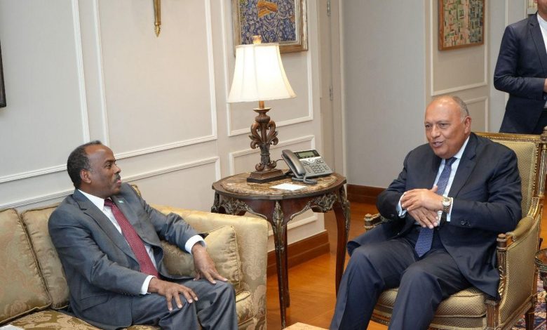 شكري يؤكد دعم مصر لمساعي الصومال في تحقيق الأمن والاستقرار وسلامة أراضيه