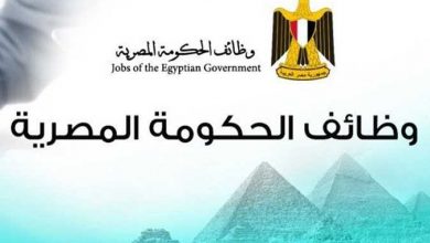  وظائف خالية بـ«وزارات وهيئات حكومية» في القاهرة والمحافظات