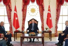وزير الخارجية ينقل رسالة من الرئيس السيسي إلى أردوغان خلال زيارته تركيا